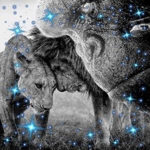 Meet your Posher, Frank